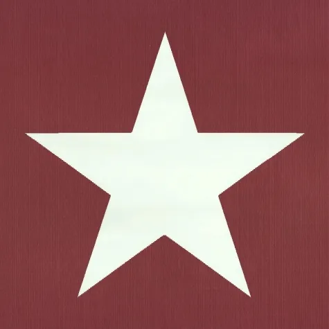 Обои для стен Esta Home Regatta Crew 136455