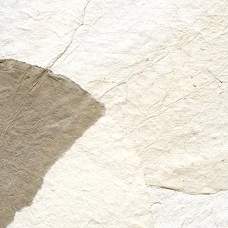 Обои для стен Elitis Epure RM 663 02