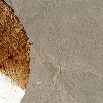 Обои для стен Elitis Epure RM 663 05