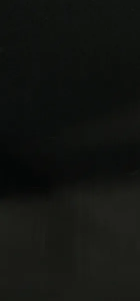 Жалюзи вертикальные WVVL9BK-GL