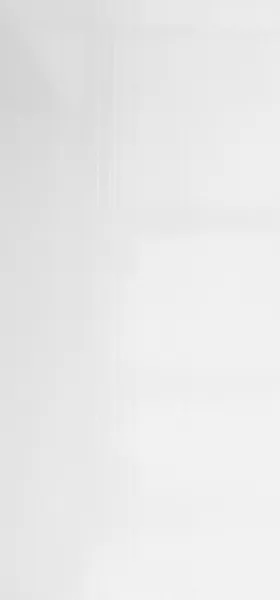 Жалюзи вертикальные WVVL9W-GL