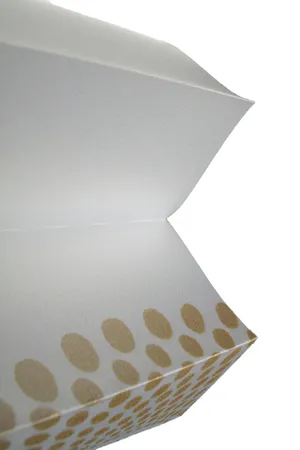 Плиссированные шторы PF-XL-69764-05