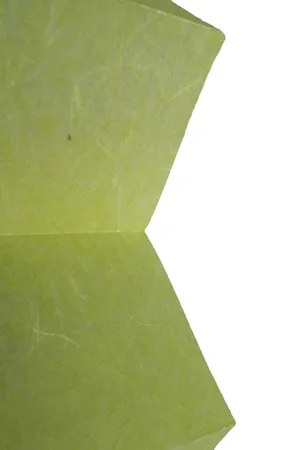 Плиссированные шторы PF-XL-JPNPPR-0600