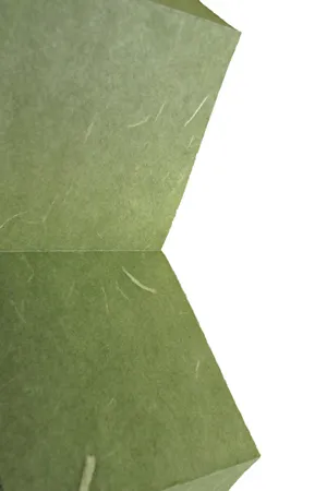 Плиссированные шторы PF-XL-JPNPPR-0700