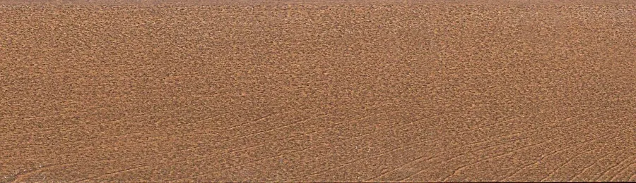 Жалюзи горизонтальные WPS...T25