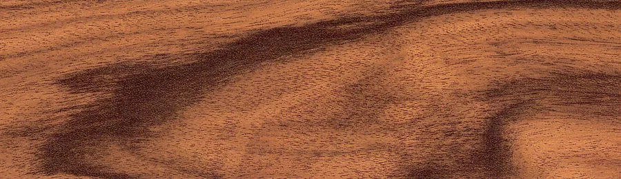 Жалюзи горизонтальные WLS9RR25