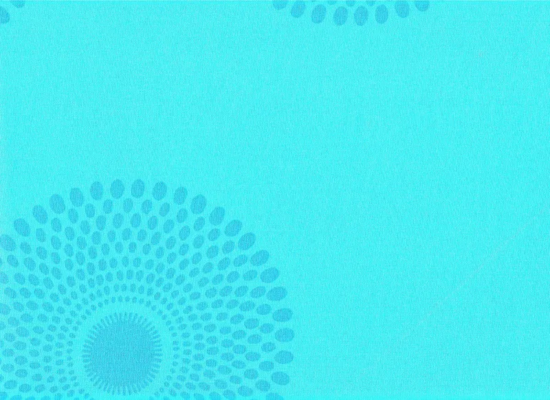 Рулонные шторы RF-PR69764-02