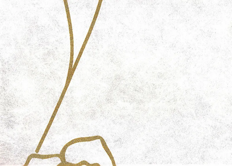 Рулонные шторы RF-NW69795-02