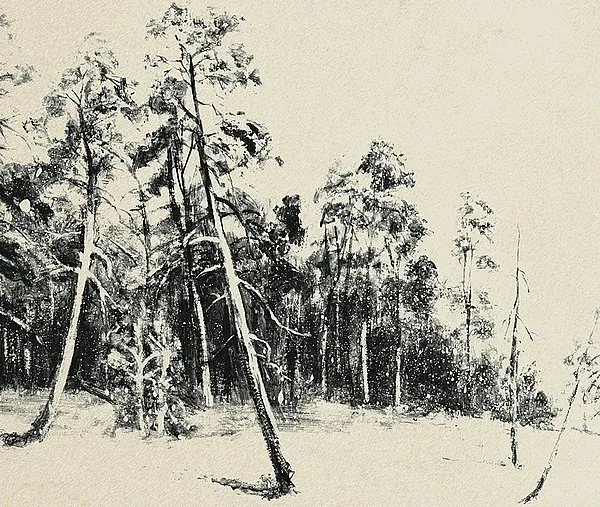 Обои для стен Tres Tintas Journeys JO1042-2