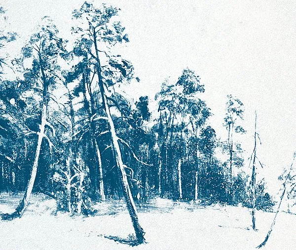 Обои для стен Tres Tintas Journeys JO1042-3