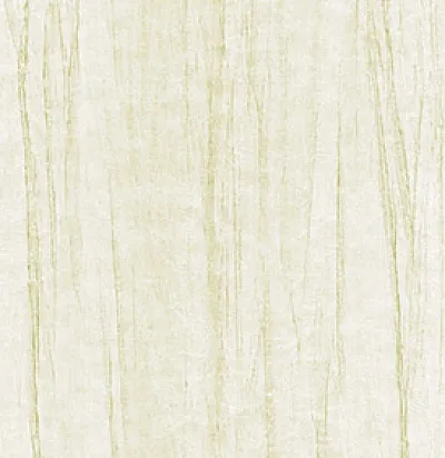 Обои для стен Arte Alchemy 25024