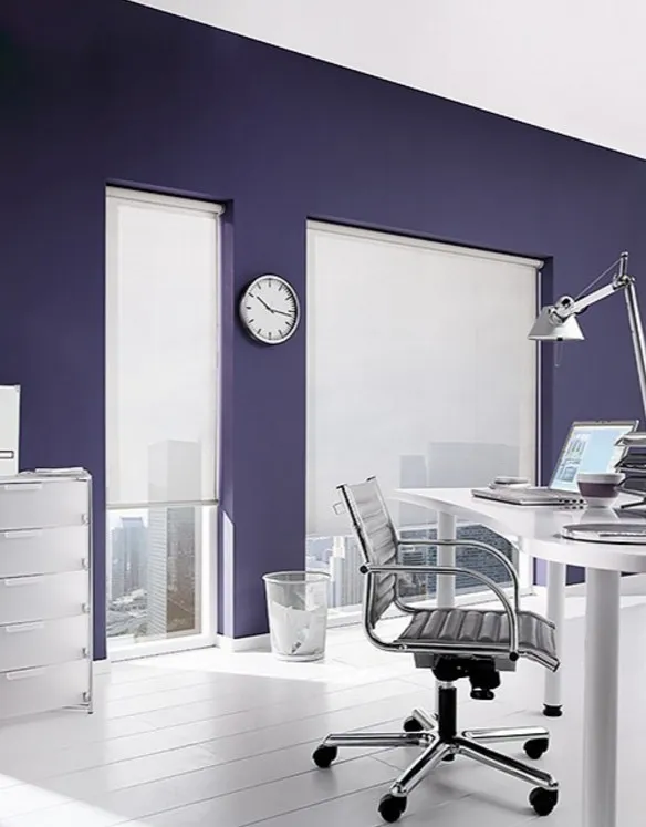 Рулонные шторы 2017-08-10_141749