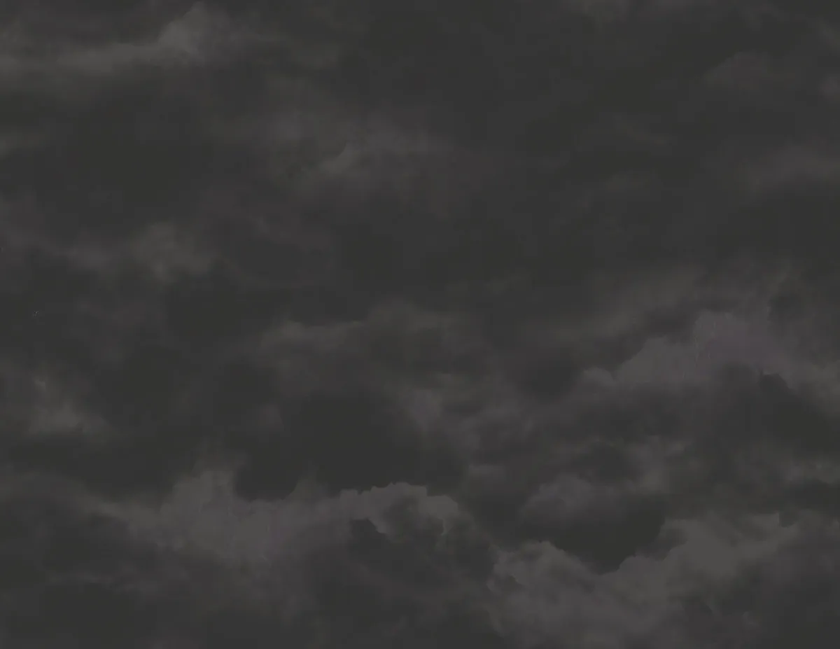 Обои для стен Mayflower by Kt Exclusive Aerial fj000219