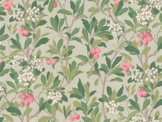 Обои для стен Cole & Son Archive Anthology 100-10048