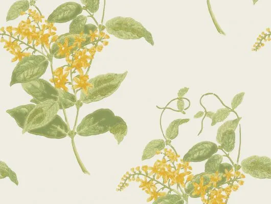 Обои для стен Cole & Son Archive Anthology 100-12059