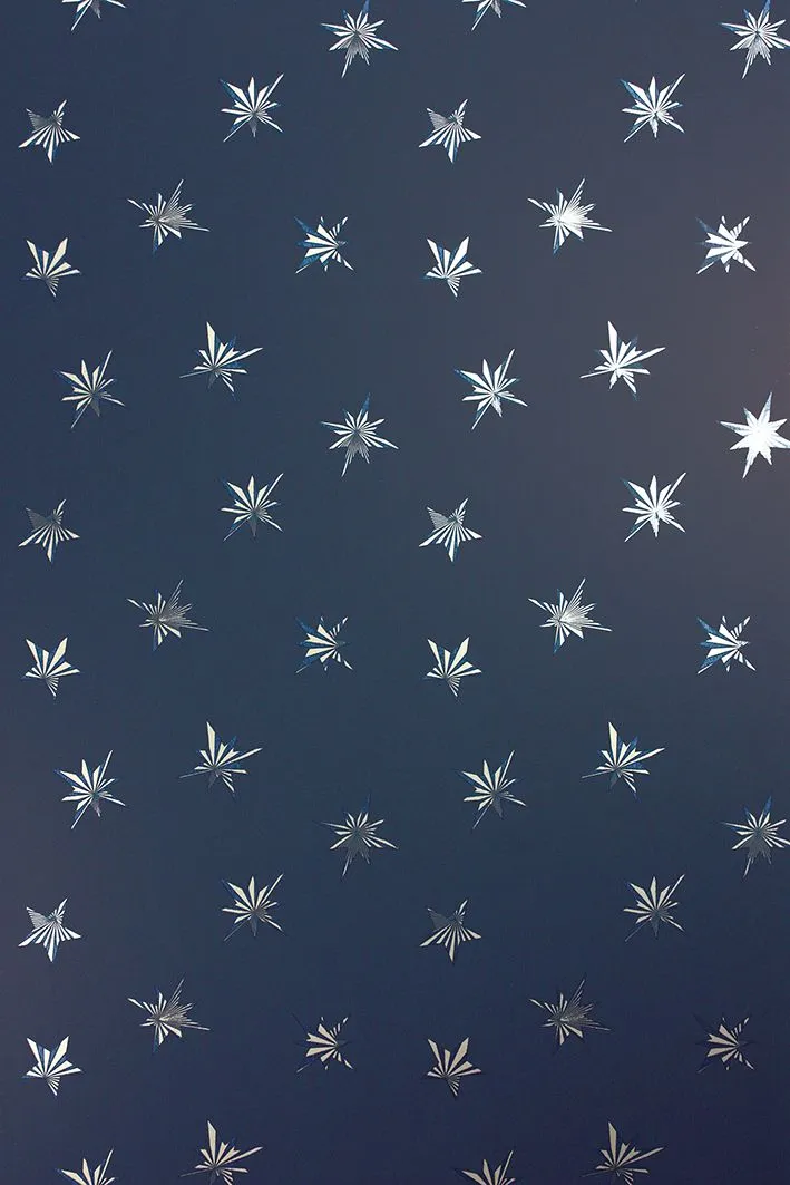 Обои для стен Matthew Williamson Belvoir W7144-07