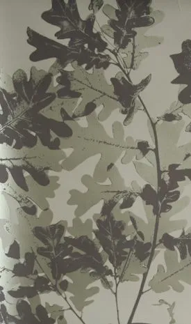 Обои для стен Osborne & Little Walk in the park W5875-04