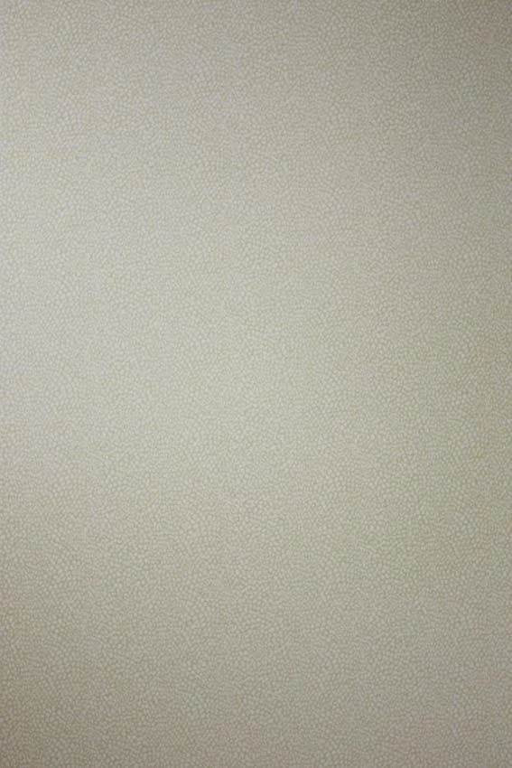 Обои для стен Osborne & Little Wallpaper Album 7 W6491-04