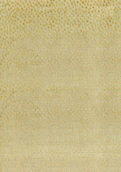 Ткань Anna French Aria Collection AW1387