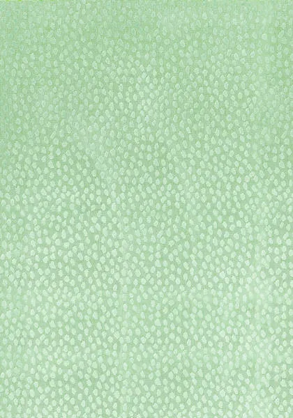 Ткань Anna French Aria Collection AW1389