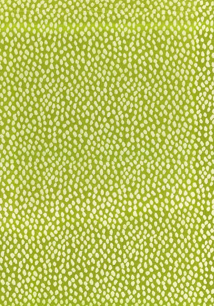 Ткань Anna French Aria Collection AW1390