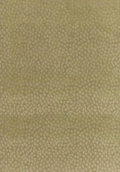 Ткань Anna French Aria Collection AW1392