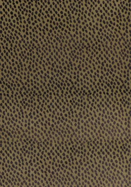 Ткань Anna French Aria Collection AW1393