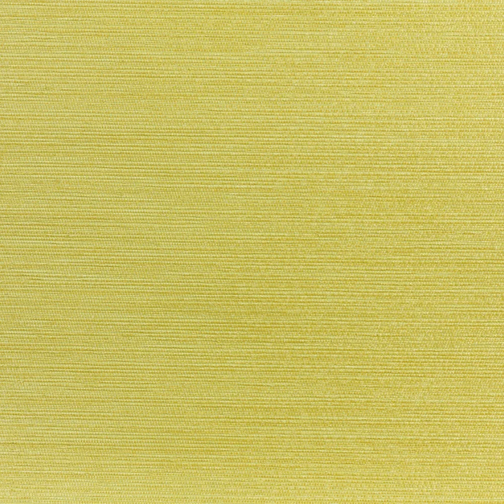 Обои для стен Dedar Rafia D14006_005