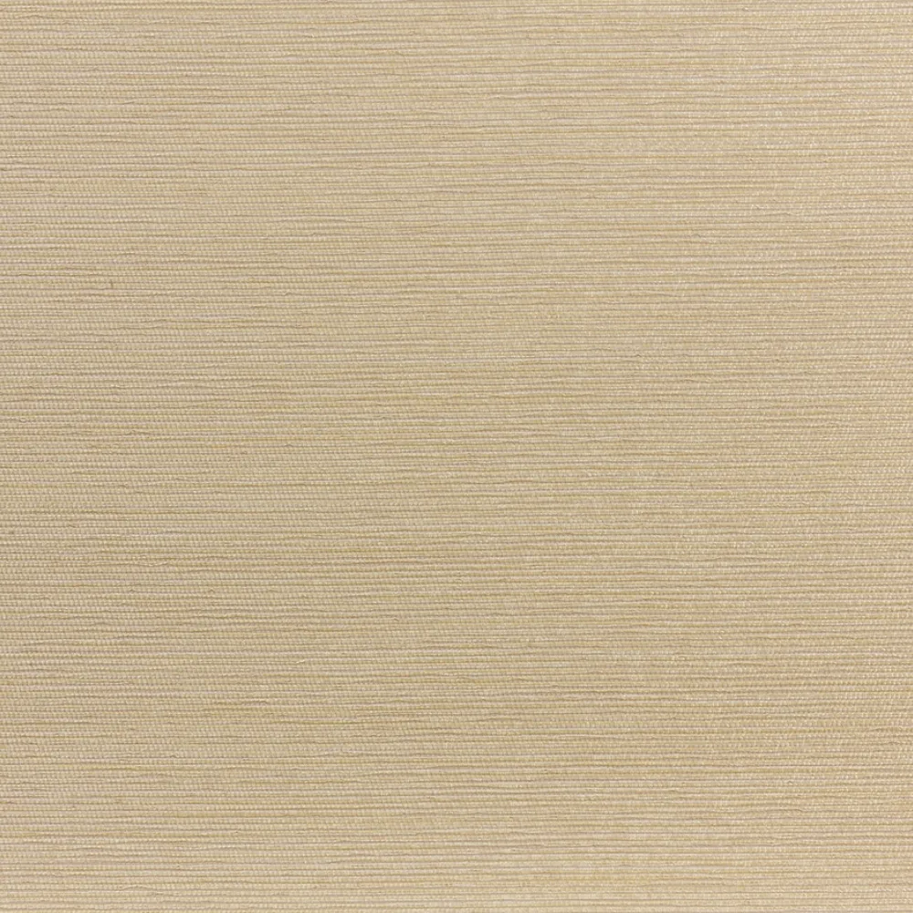 Обои для стен Dedar Rafia D14006_006