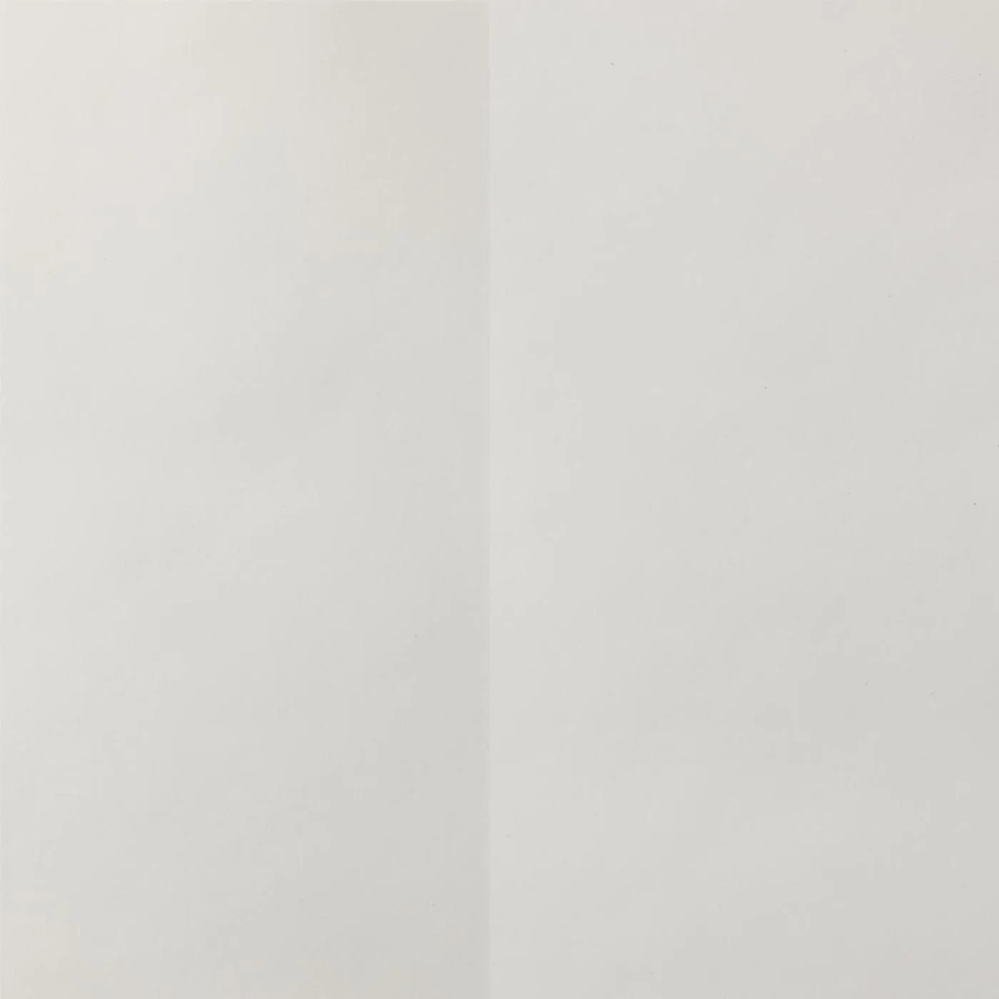 Обои для стен Dedar Rafia D19031_006