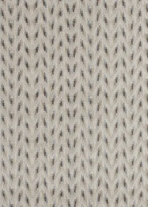 Ткань Baker Lifestyle Carnival collection PF50426_3