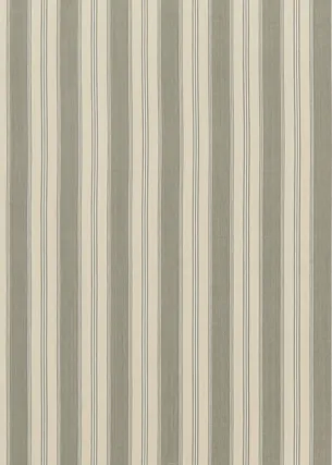 Ткань Baker Lifestyle Carnival collection PF50430_1