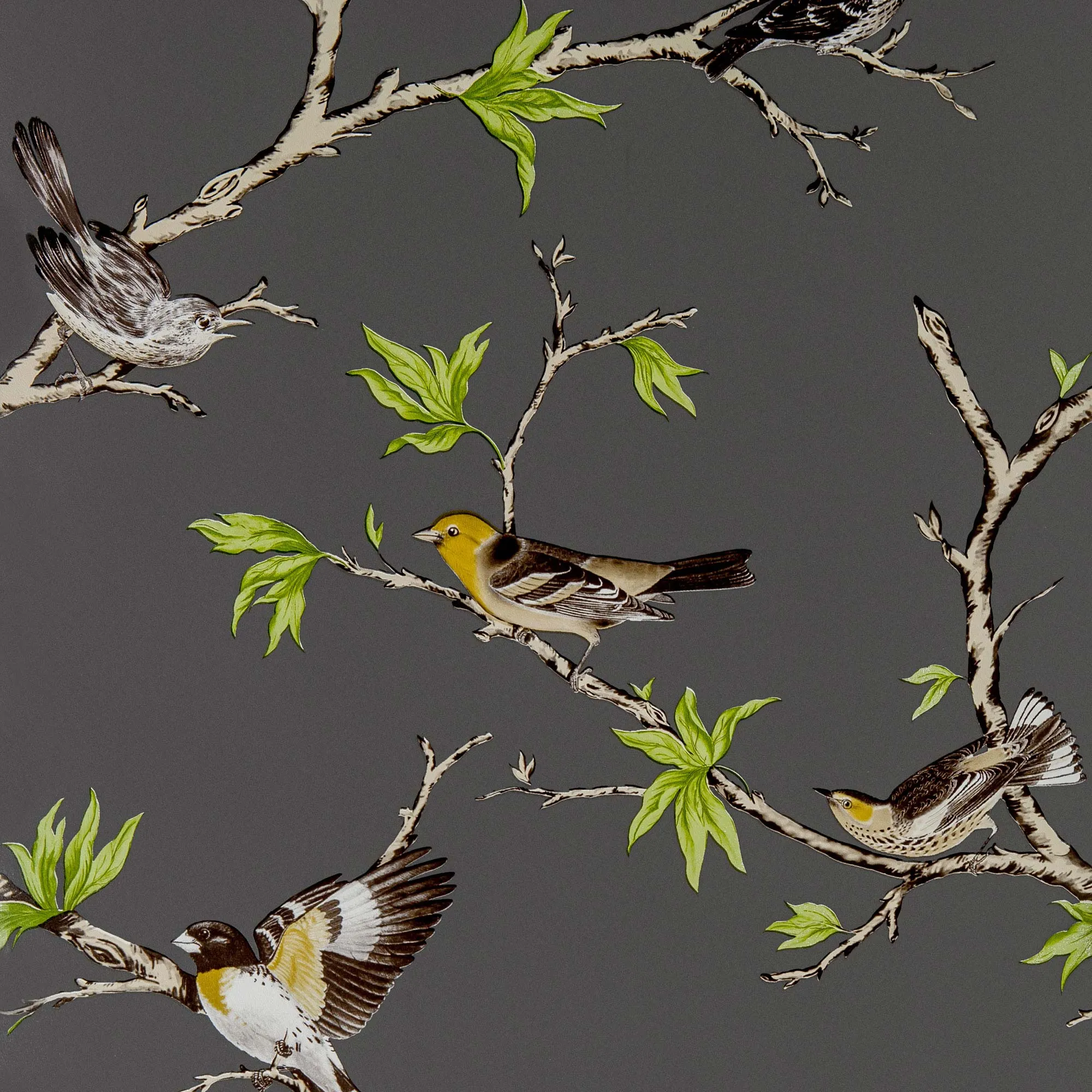 Обои для стен Gaston Y Daniela Dos GDW-5104-001