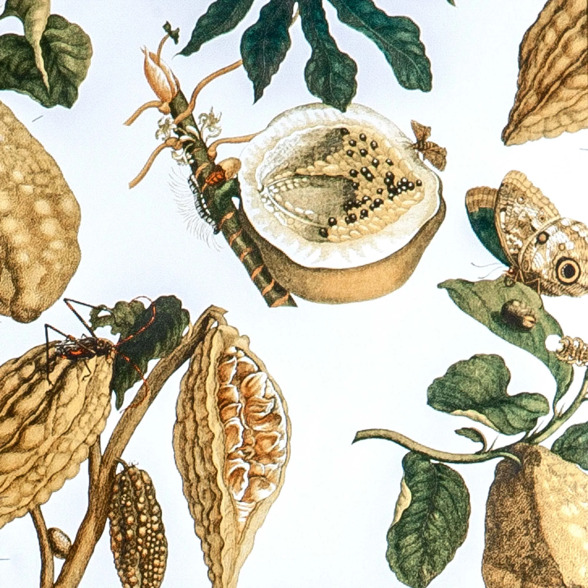 Обои для стен Gaston Y Daniela Dos GDW-5111-001