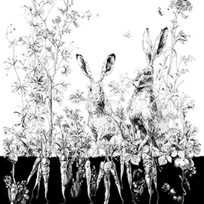 Обои для стен Edmond Petit Catherine Gran RM100-01