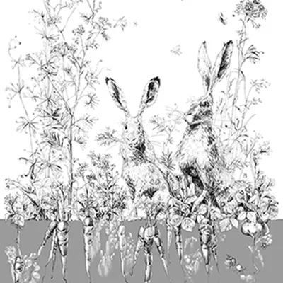 Обои для стен Edmond Petit Catherine Gran RM100-02