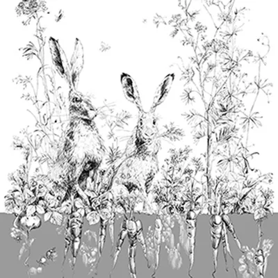 Обои для стен Edmond Petit Catherine Gran RM101-02