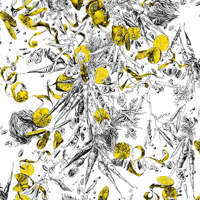 Обои для стен Edmond Petit Catherine Gran RM102-01