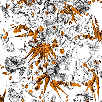 Обои для стен Edmond Petit Catherine Gran RM102-03