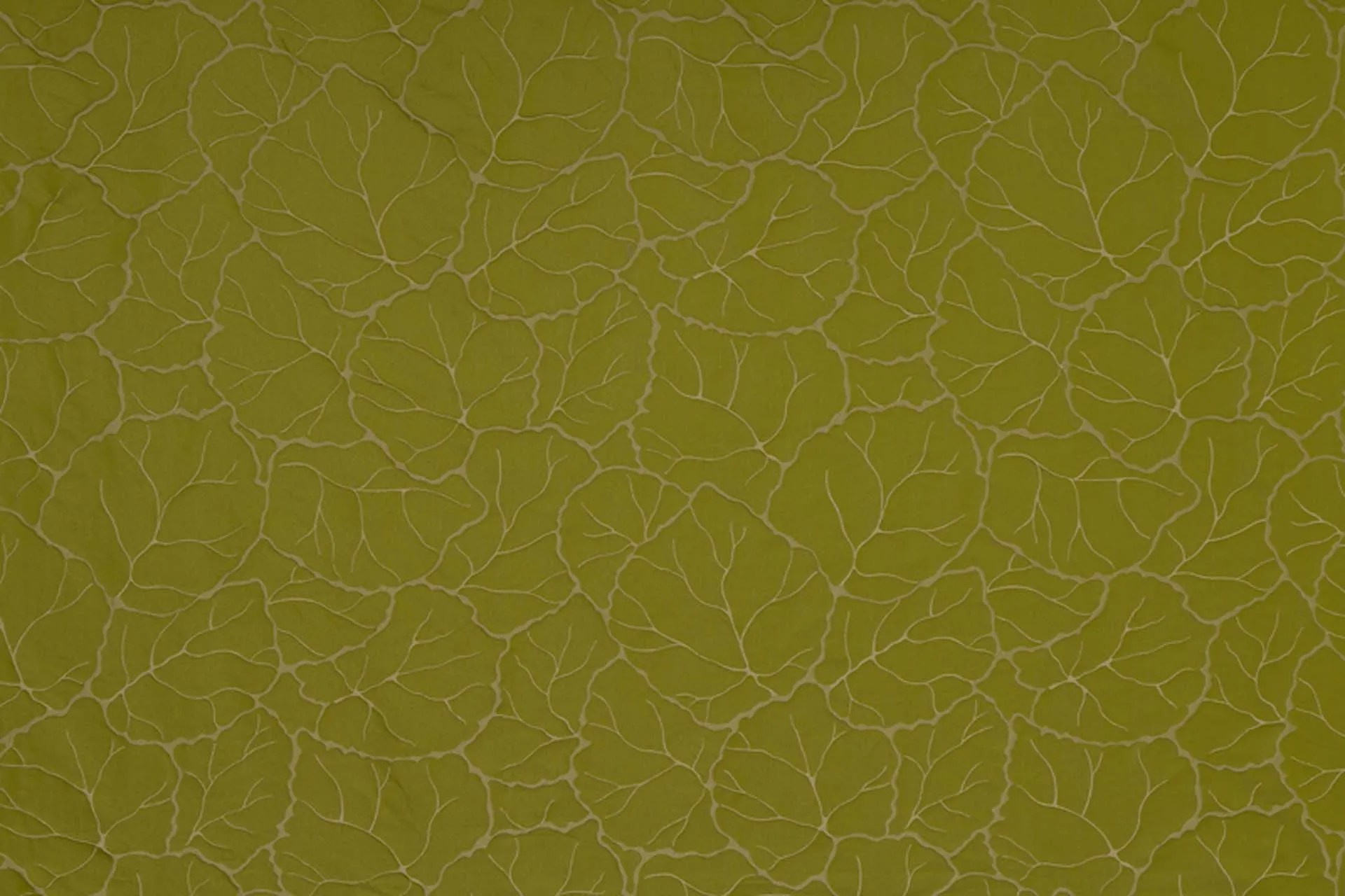 Ткань Luciano Marcato Donizetti LM19517_301_N