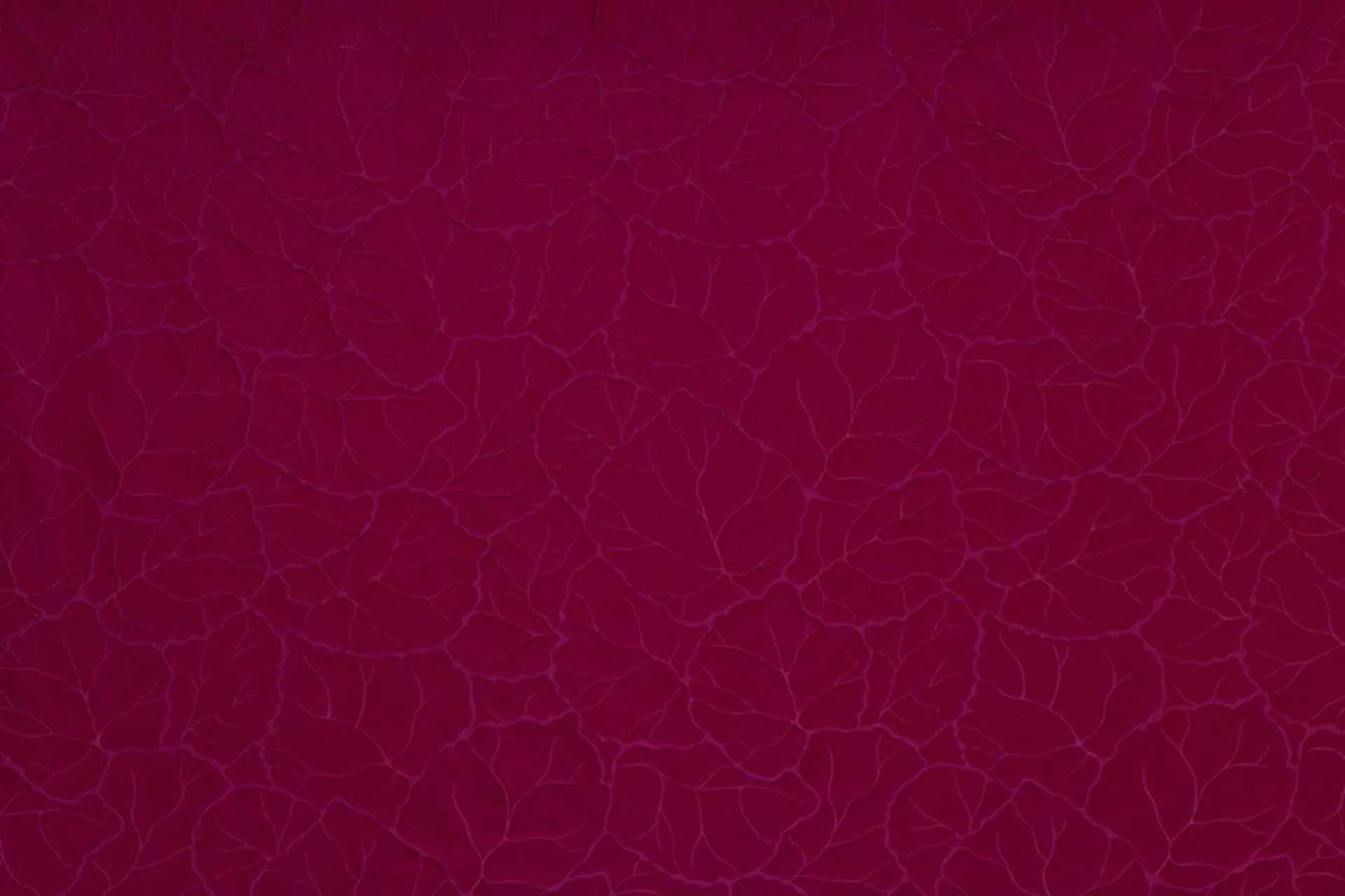 Ткань Luciano Marcato Donizetti LM19517_951_N