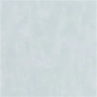 Обои для стен Designers Guild Parchment PDG719-24