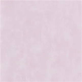 Обои для стен Designers Guild Parchment PDG719-39