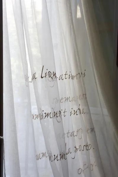 Ткань Mastro Raphael Poems Tenda lino e organza Orazio 95 20110