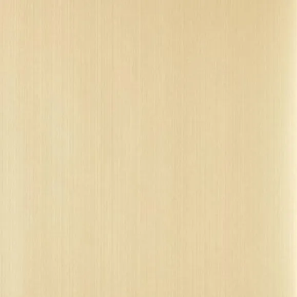 Обои для стен Farrow & Ball Plain & Simple BP1208