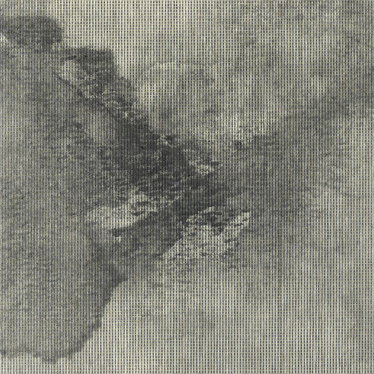 Обои для стен Phillip Jeffries Beyond 7206