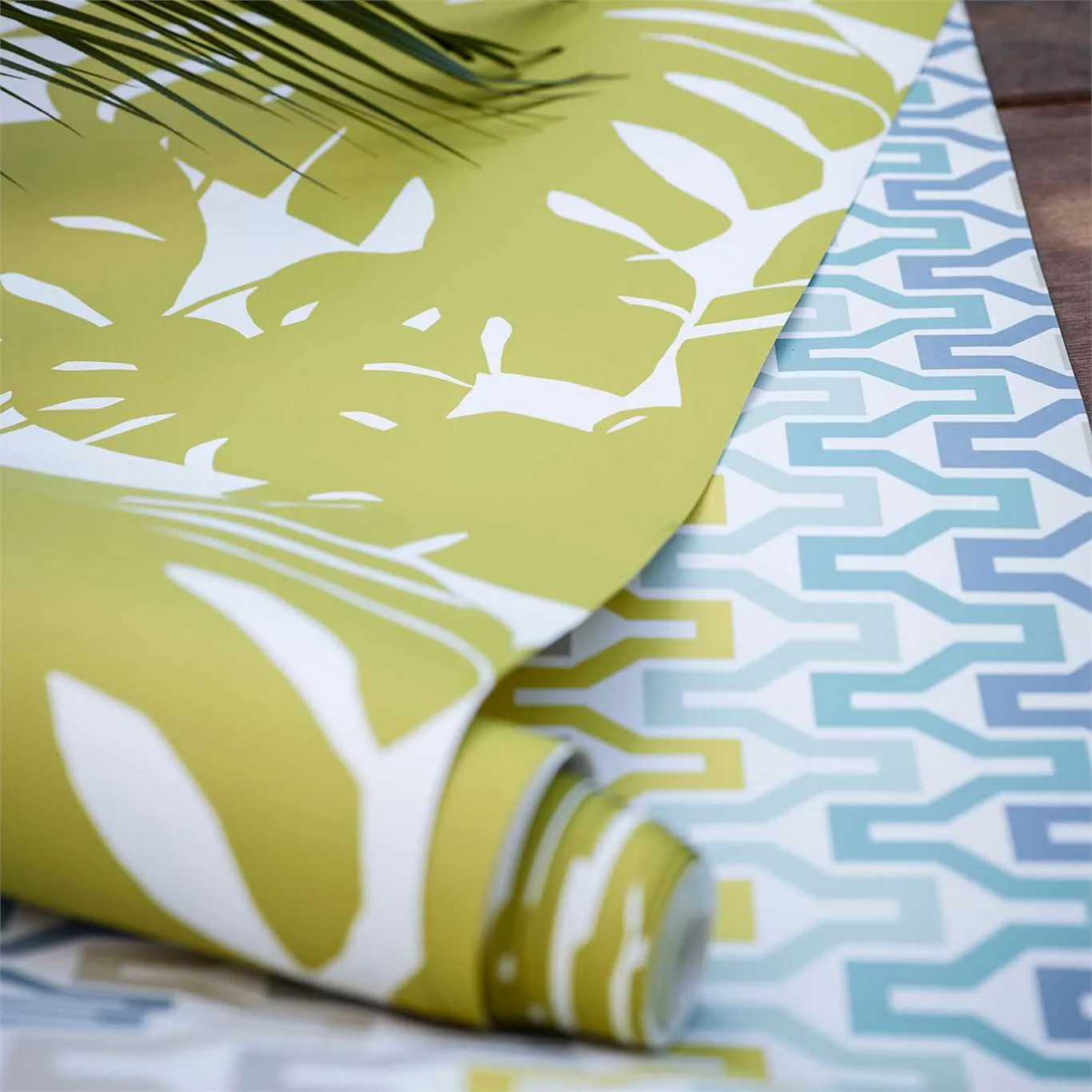 Обои для стен Scion Nuevo 111821 #2