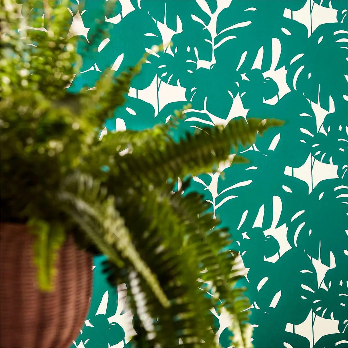 Обои для стен Scion Nuevo 111824 #3