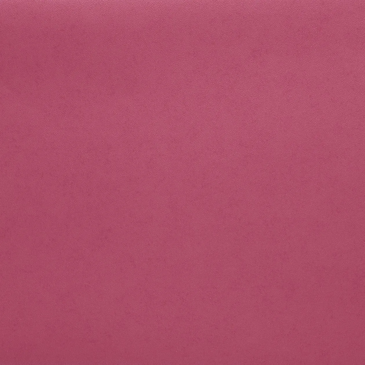 Обои для стен Caselio Pretty Lili PRLI54104318