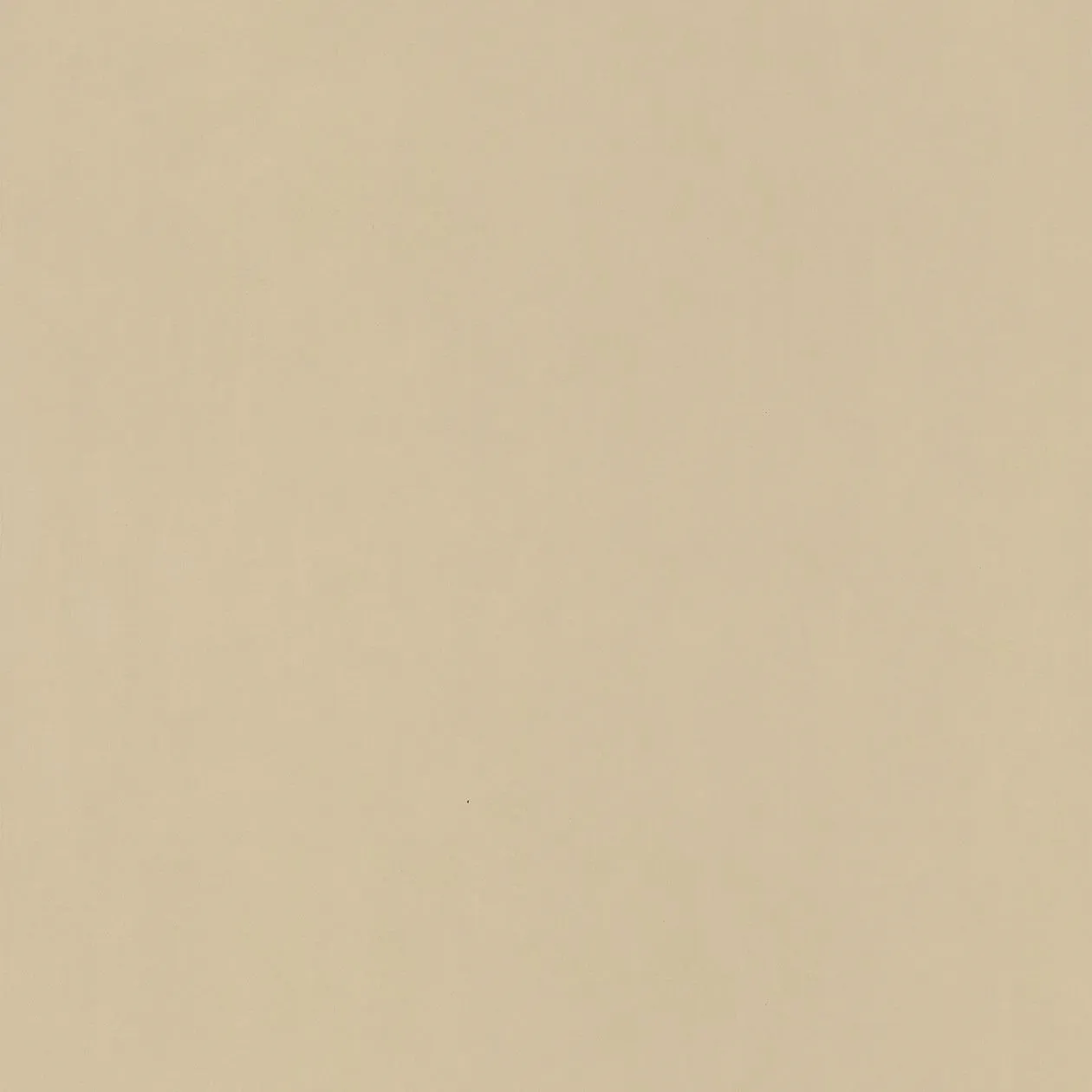 Обои для стен Caselio Pretty Lili PRLI55421309